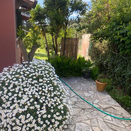 帕拉蒙纳斯Casa Piccolino别墅 外观 照片