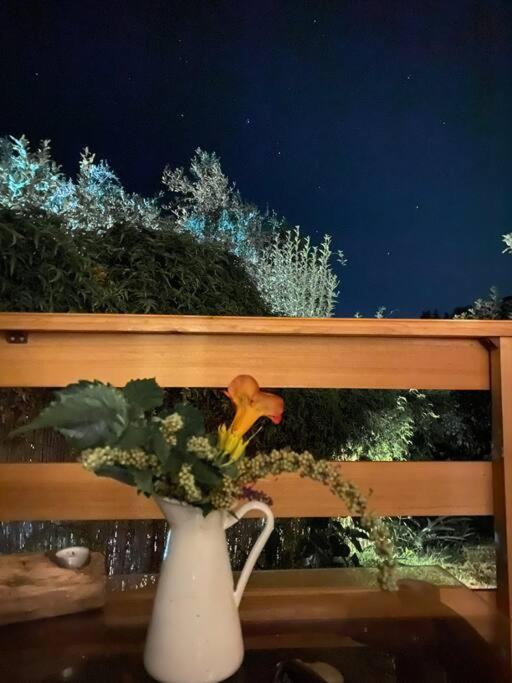 帕拉蒙纳斯Casa Piccolino别墅 外观 照片