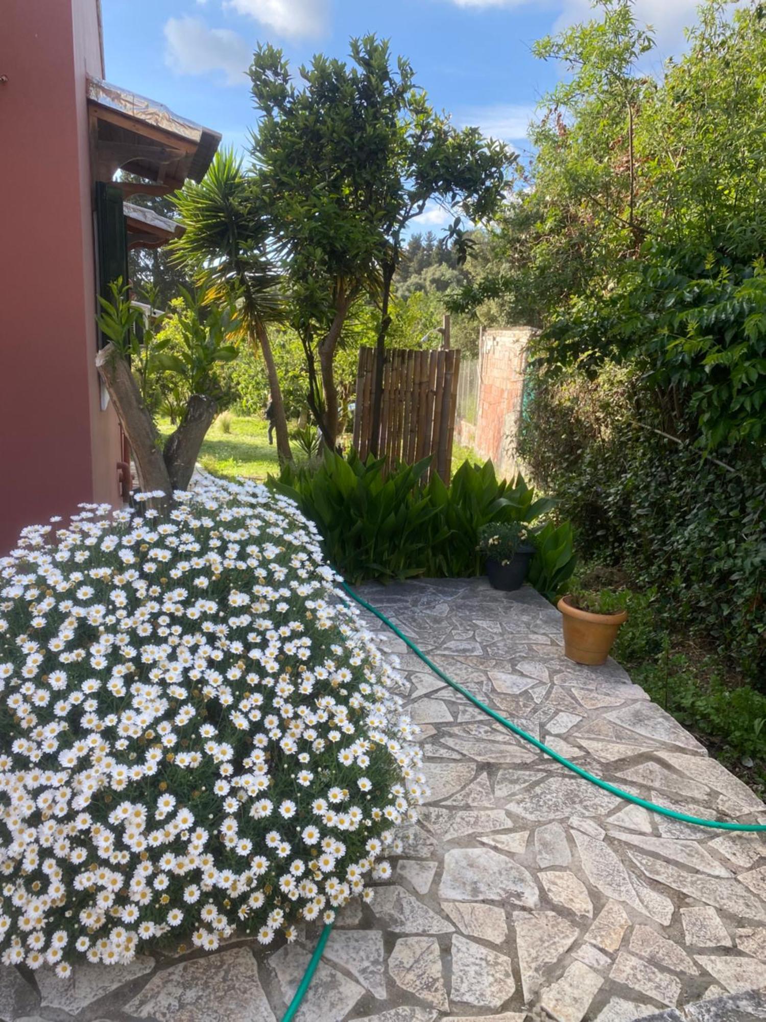 帕拉蒙纳斯Casa Piccolino别墅 外观 照片